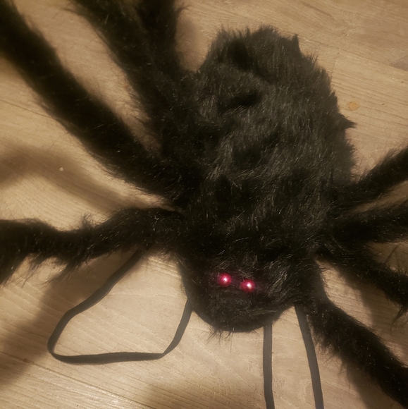 SPIDER COSTUME FOR DOGGO!! - Picture 9 of 11
